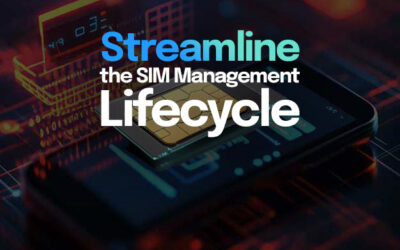 Is It Time to Streamline the SIM Management Lifecycle?